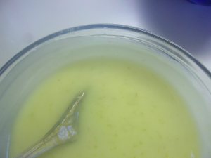lime curd II