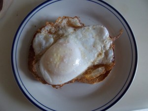 Fried Goose Egg