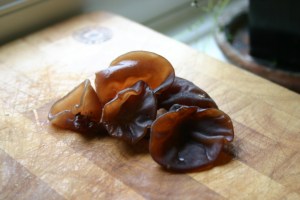 Jew's or jelly ear fungus