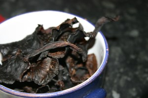 Mushrooms after drying