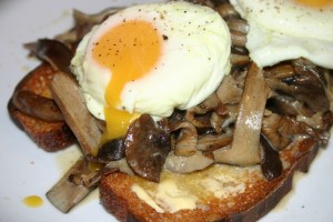 mushrooms on toast