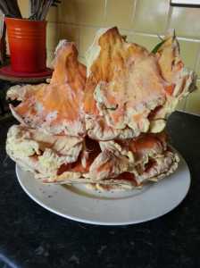 2013-08-05 19.16.57-1