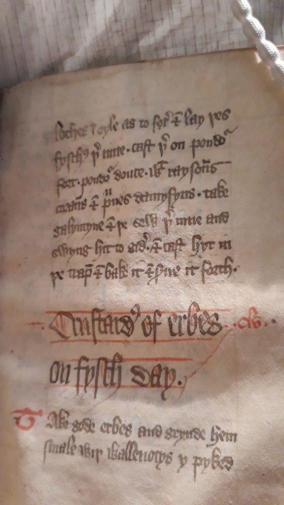 This image has an empty alt attribute; its file name is 20191018_102604.jpg